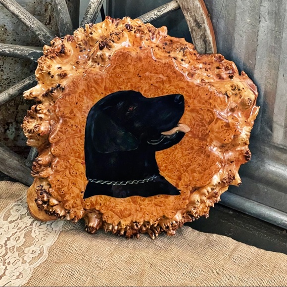 Birds Eye Maple Burl Wood Slab Raw Edge Lab Painting Varnish Wall Art Oregon - Picture 7 of 12